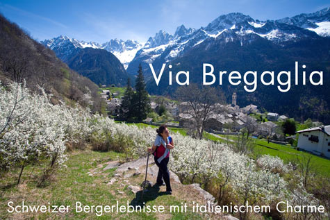 Via Bregaglia