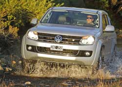 amarok