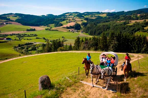 Reiten mit Planwagen