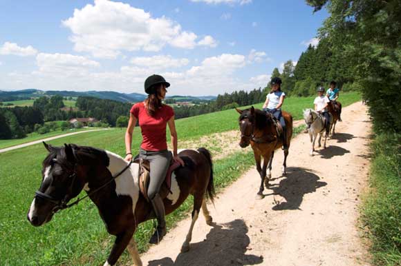 Reiten in Oberösterreich
