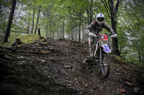 Downhill im Wald