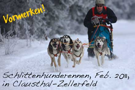 Schlittenhunderennen
