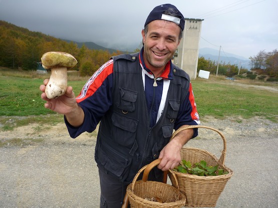 schwammerlsucher italienischer