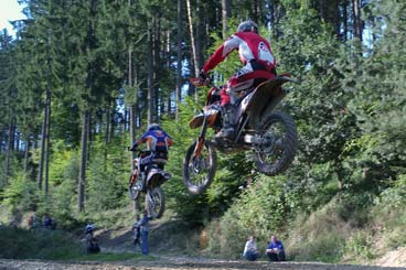 morini