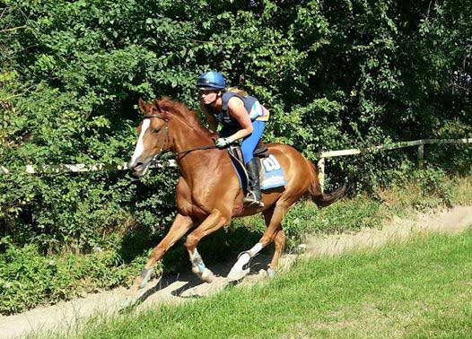 Katja mit Filou beim Training