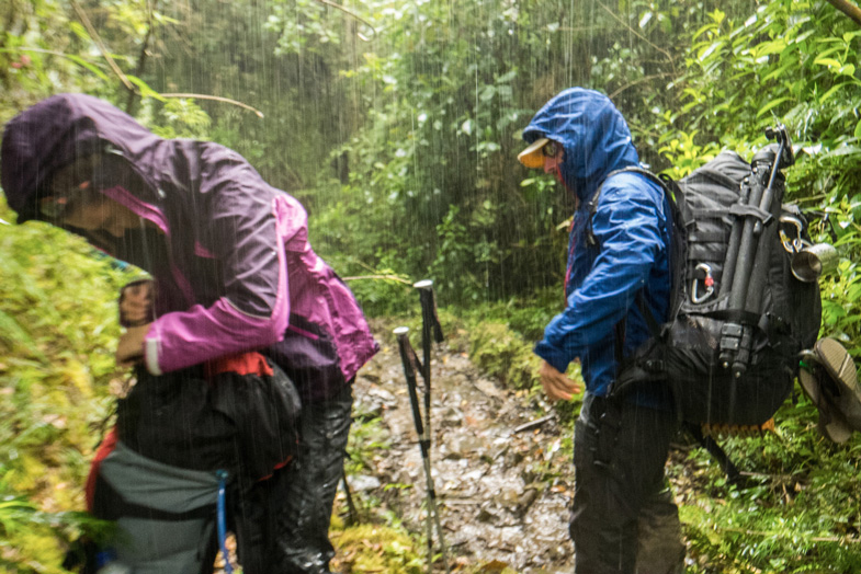 walking in the rain