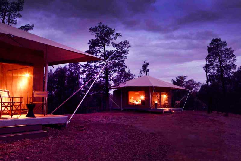 Ikara Safari Camp