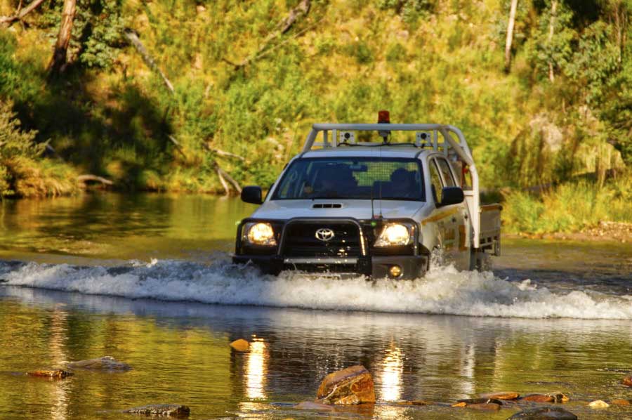 Jeep Tour