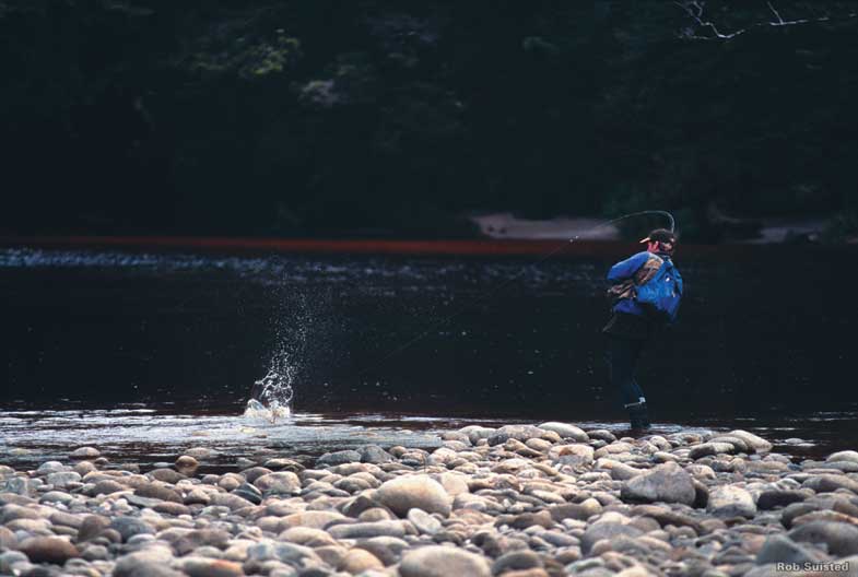 Forellenangeln am Karamea River