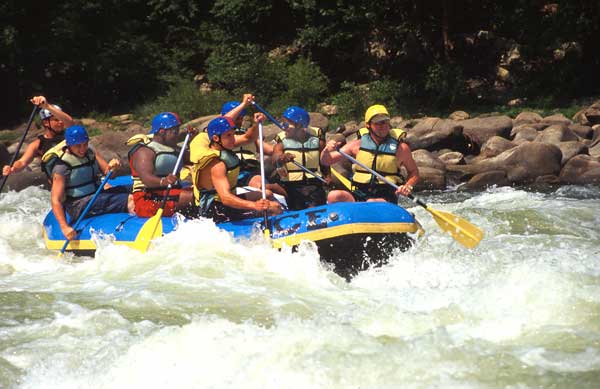 Gauley