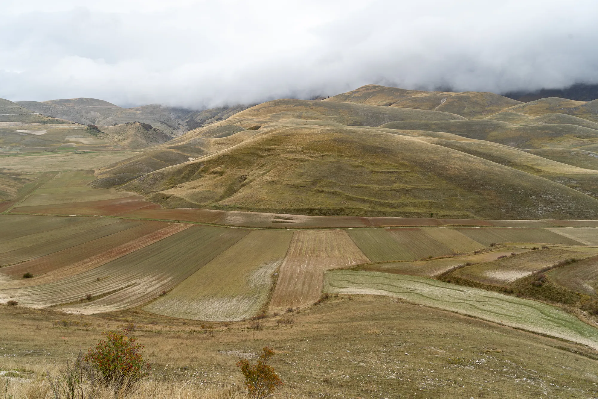 Hügelige Landschaft mit ackerbaulichen Feldern unter bewölktem Himmel