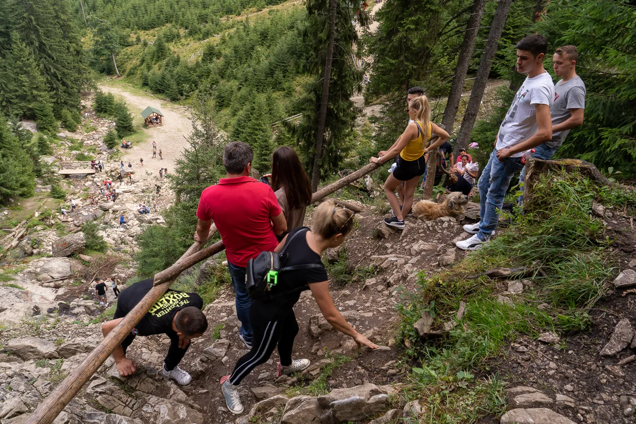Menschen klettern auf steinigem Pfad im Wald, Hunde und Gruppe im Hintergrund