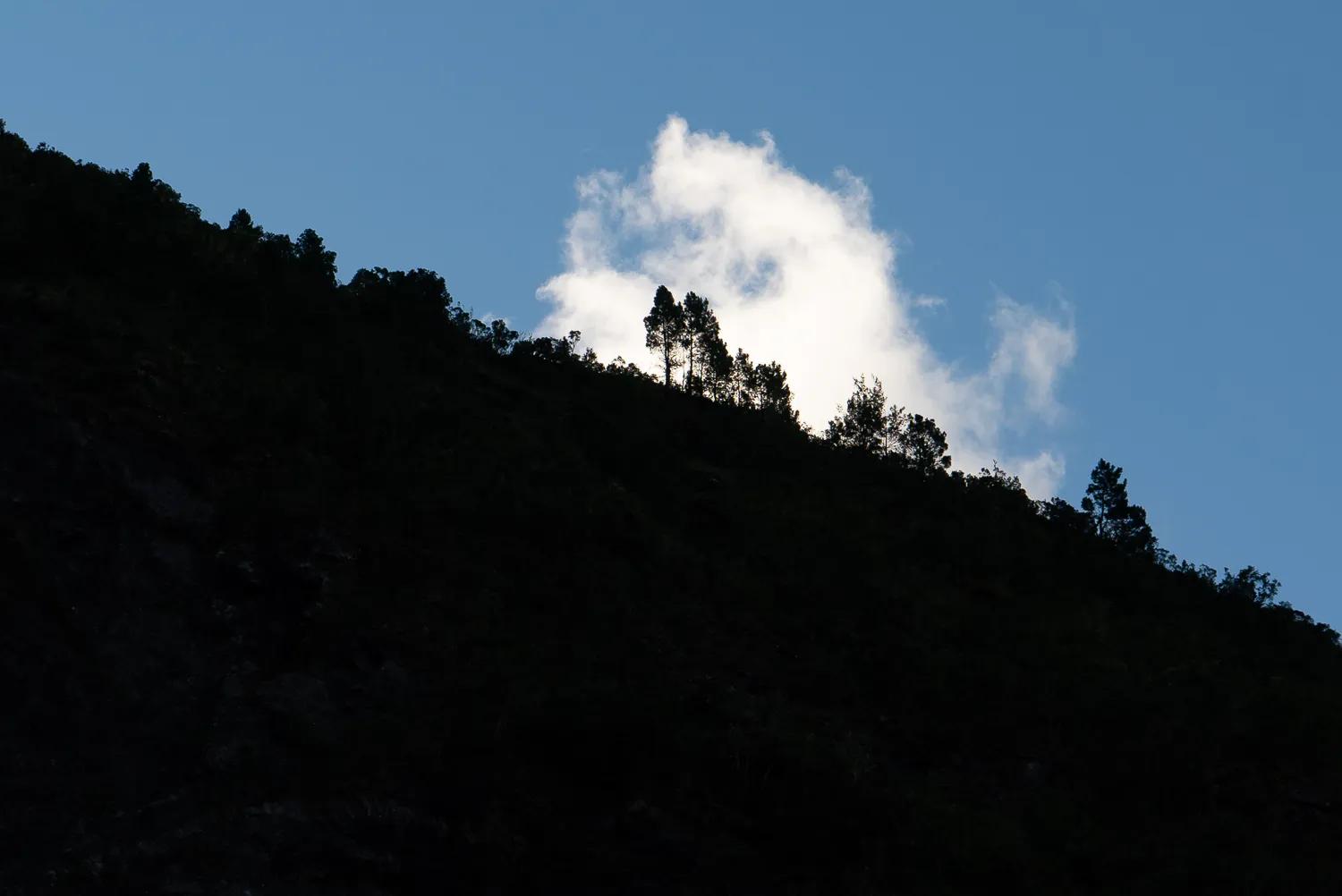 Silhouetten von Bäumen auf einem Berg unter blauem Himmel mit Wolke