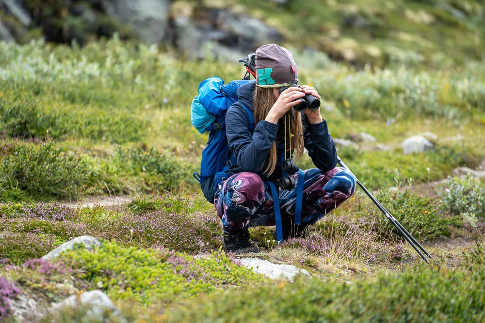 Person mit Rucksack und Fernglas beobachtet in grüner Berglandschaft