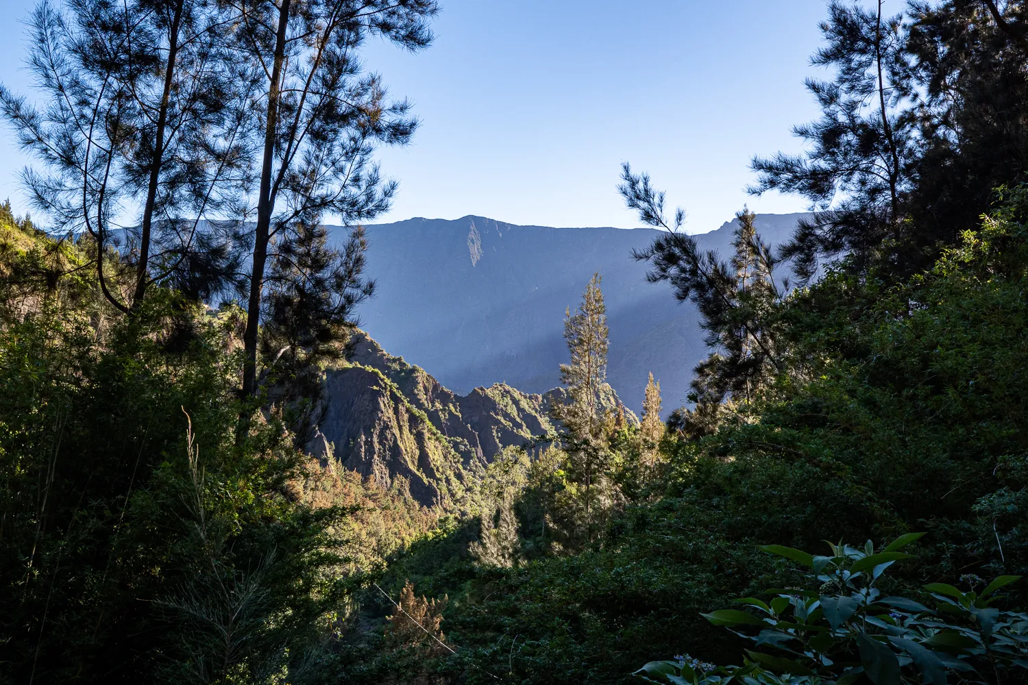 Berglandschaft mit Bäumen im Vordergrund und klarem Himmel