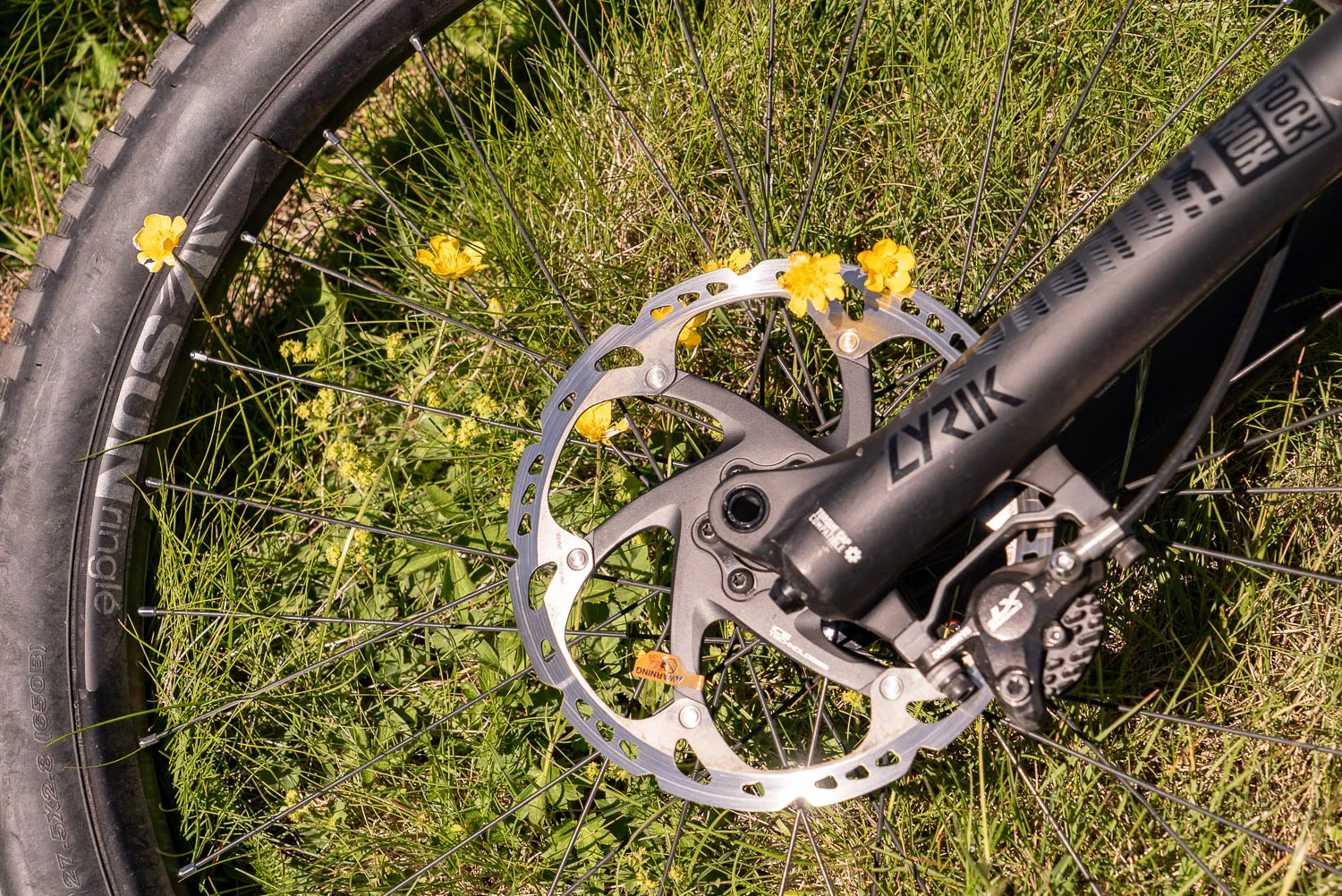 Fahrradbremsen und Reifen im Gras mit gelben Blumen