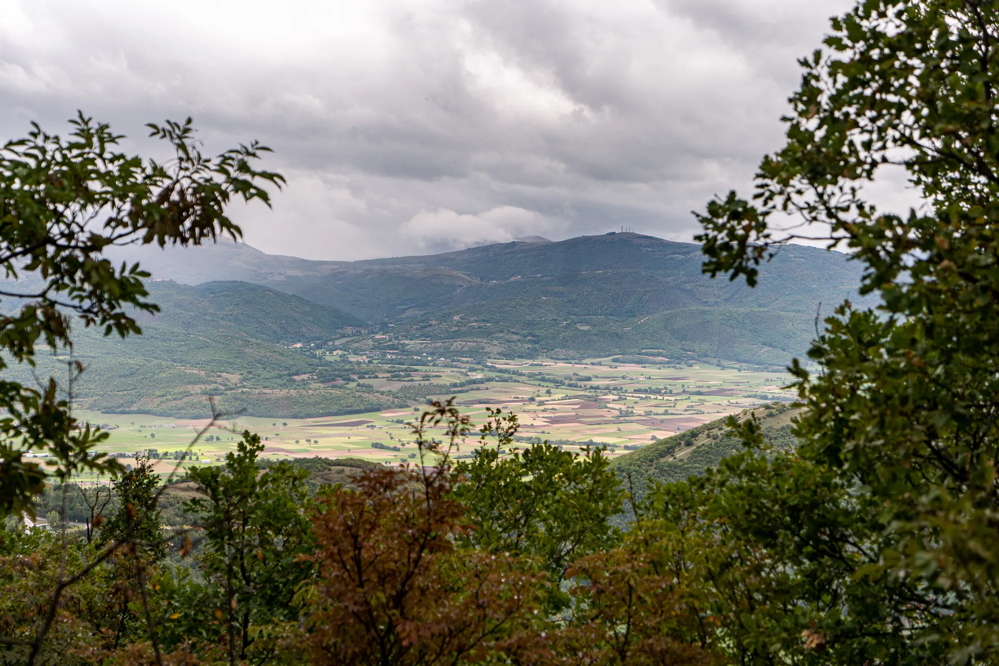Blick auf Hügel und Felder durch grüne Baumzweige unter bewölktem Himmel