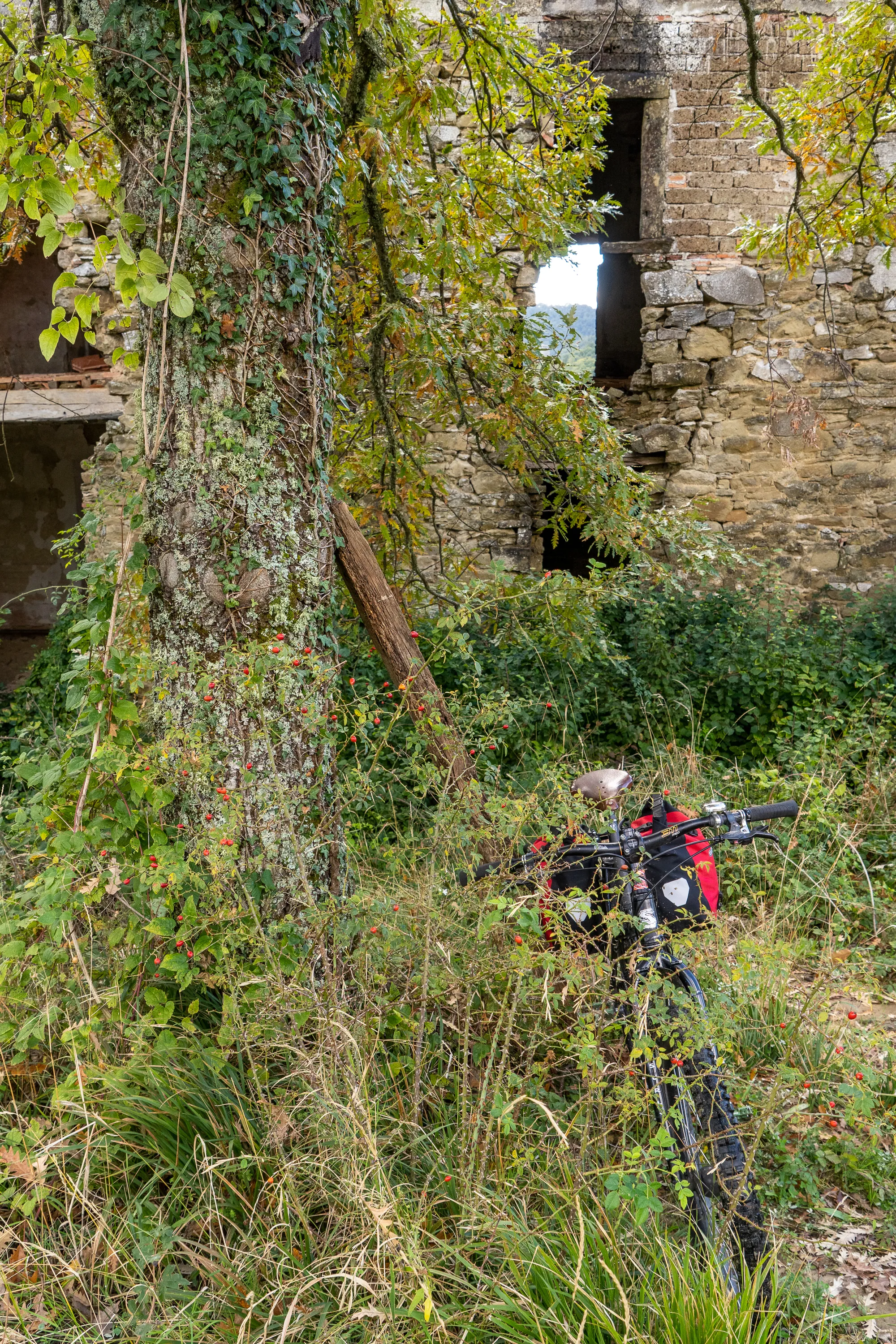 Rad steht festgefahren zwischen Baum und altem Steinhaus im Wald.