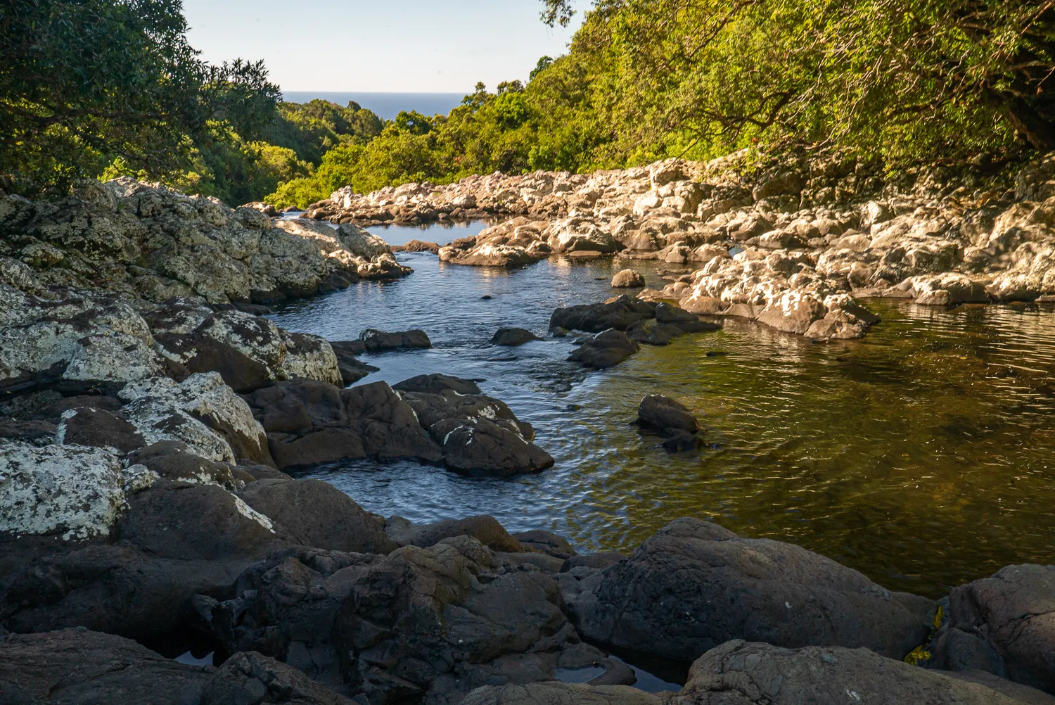 Fluss durch steinige Schlucht mit grüner Vegetation und Blick auf Meer