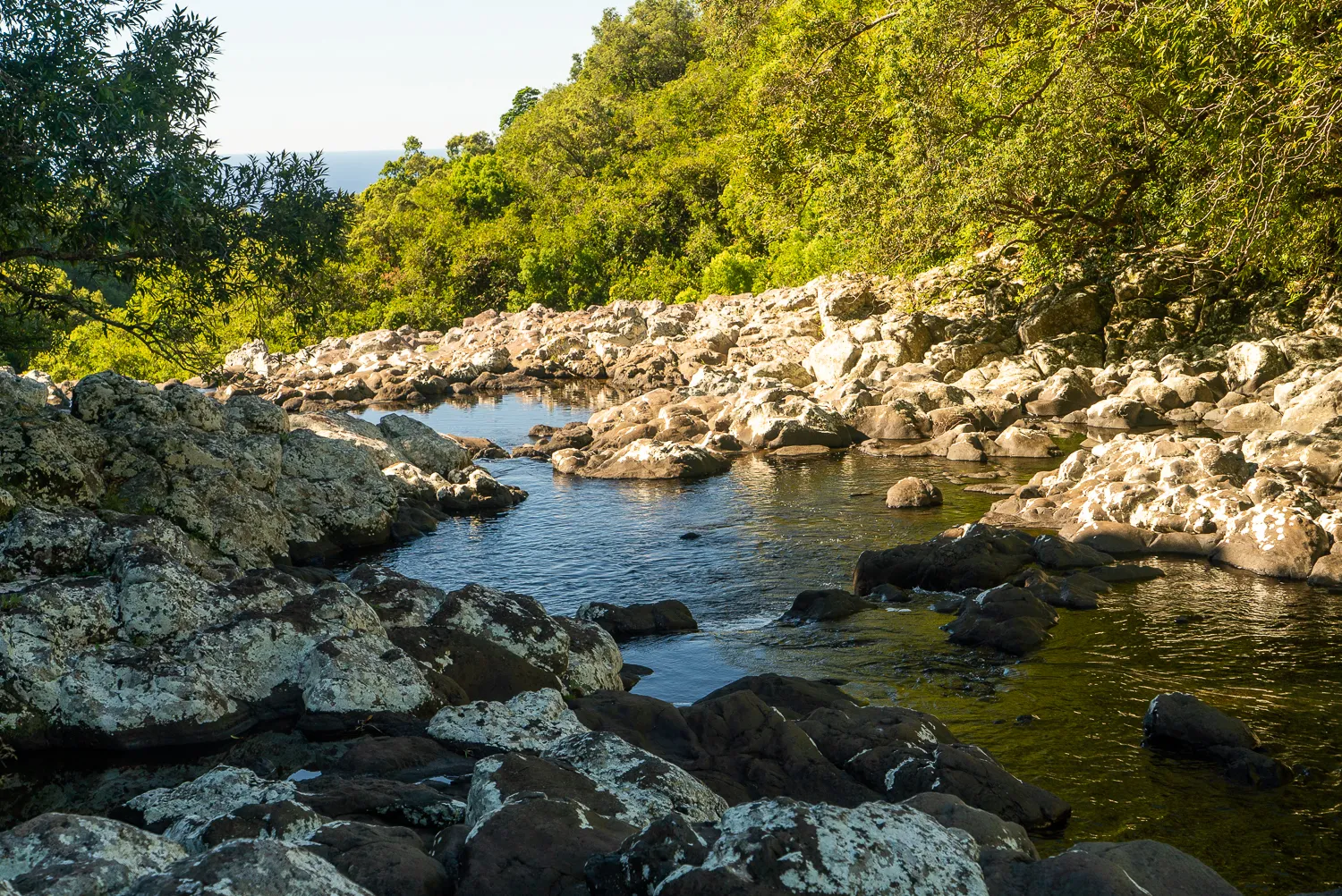 Fluss durch steiniges Ufer mit grüner Vegetation