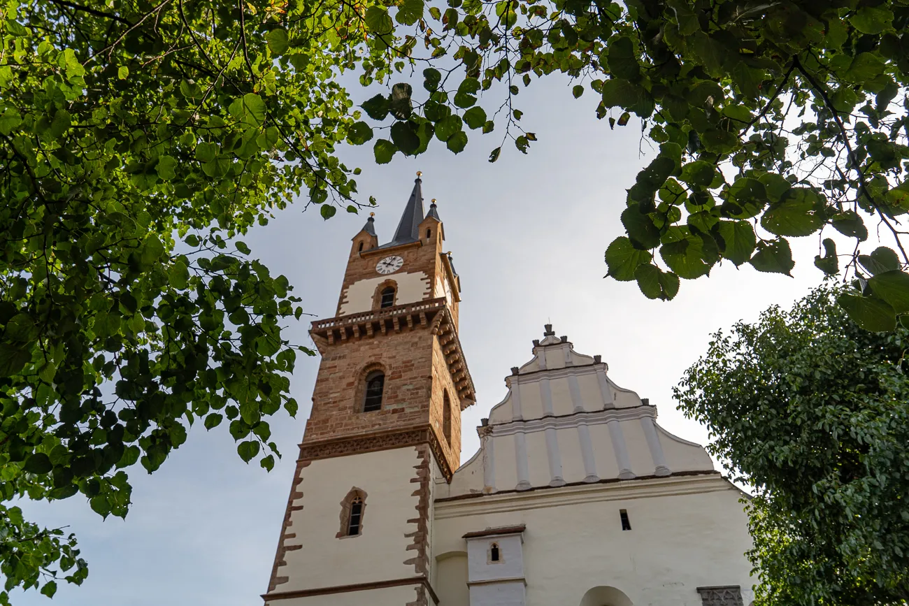 hochwinklig fotografiertes gotisches kirchengebäude mit turm und grünen blättern im vordergrund