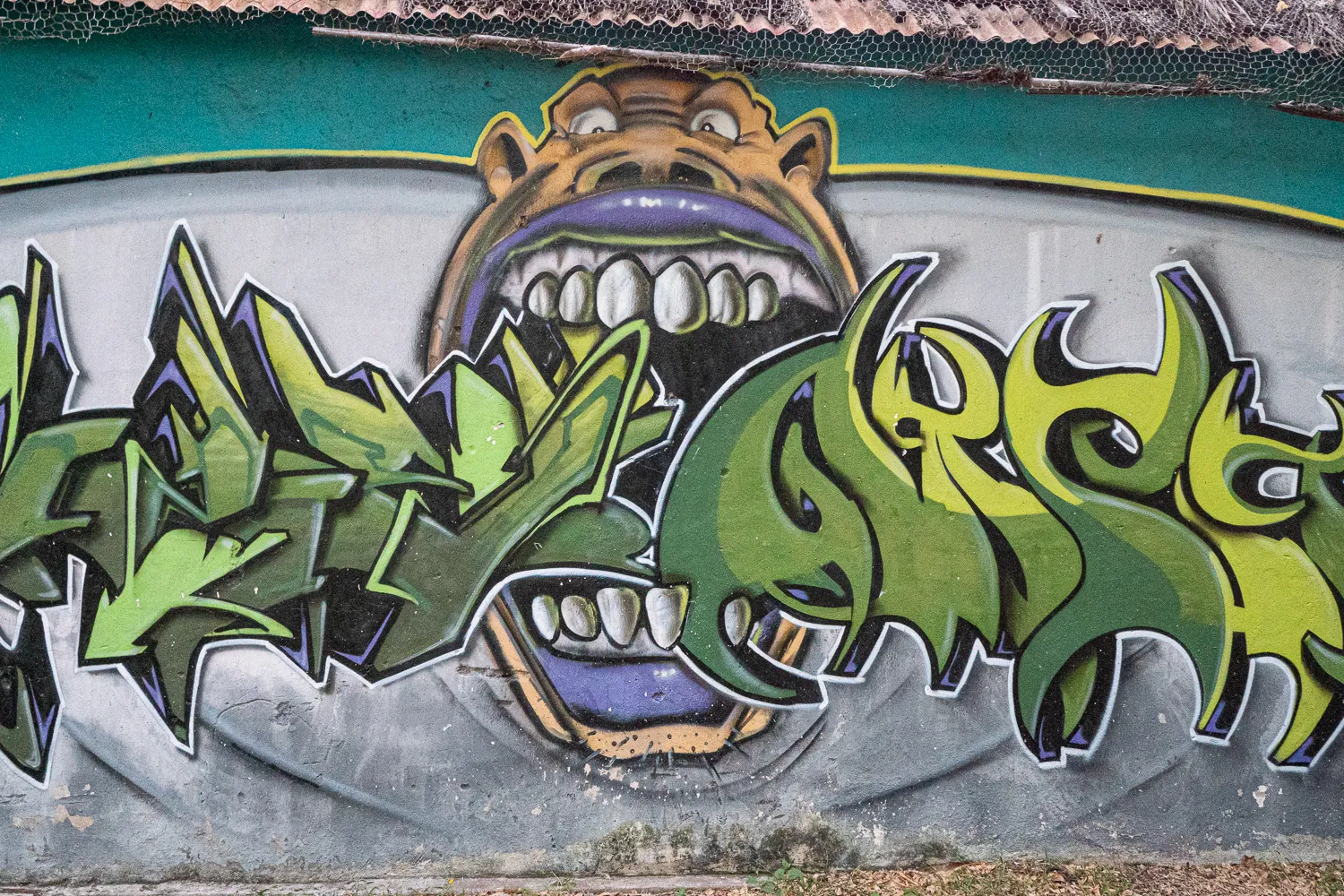 Graffiti mit grünem Schriftzug und einem lächelnden Gesicht auf einer Wand