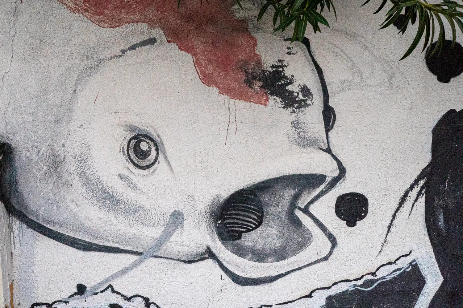 Graffiti-Malerei eines stilisierten Gesichts mit rotem Farbfleck und grünen Blättern oben