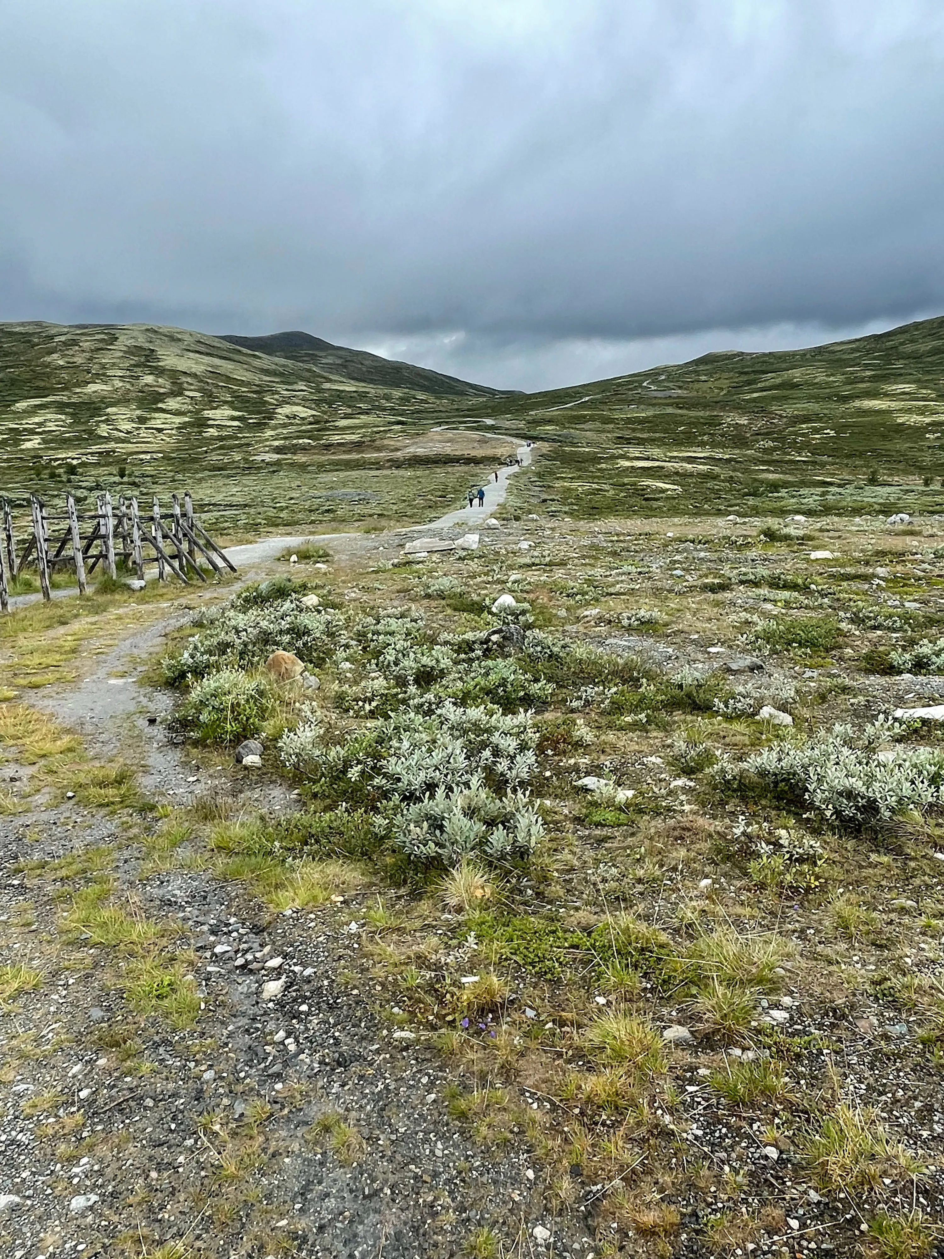 Wanderweg durch grasbewachsenes Tal mit grauem Himmel
