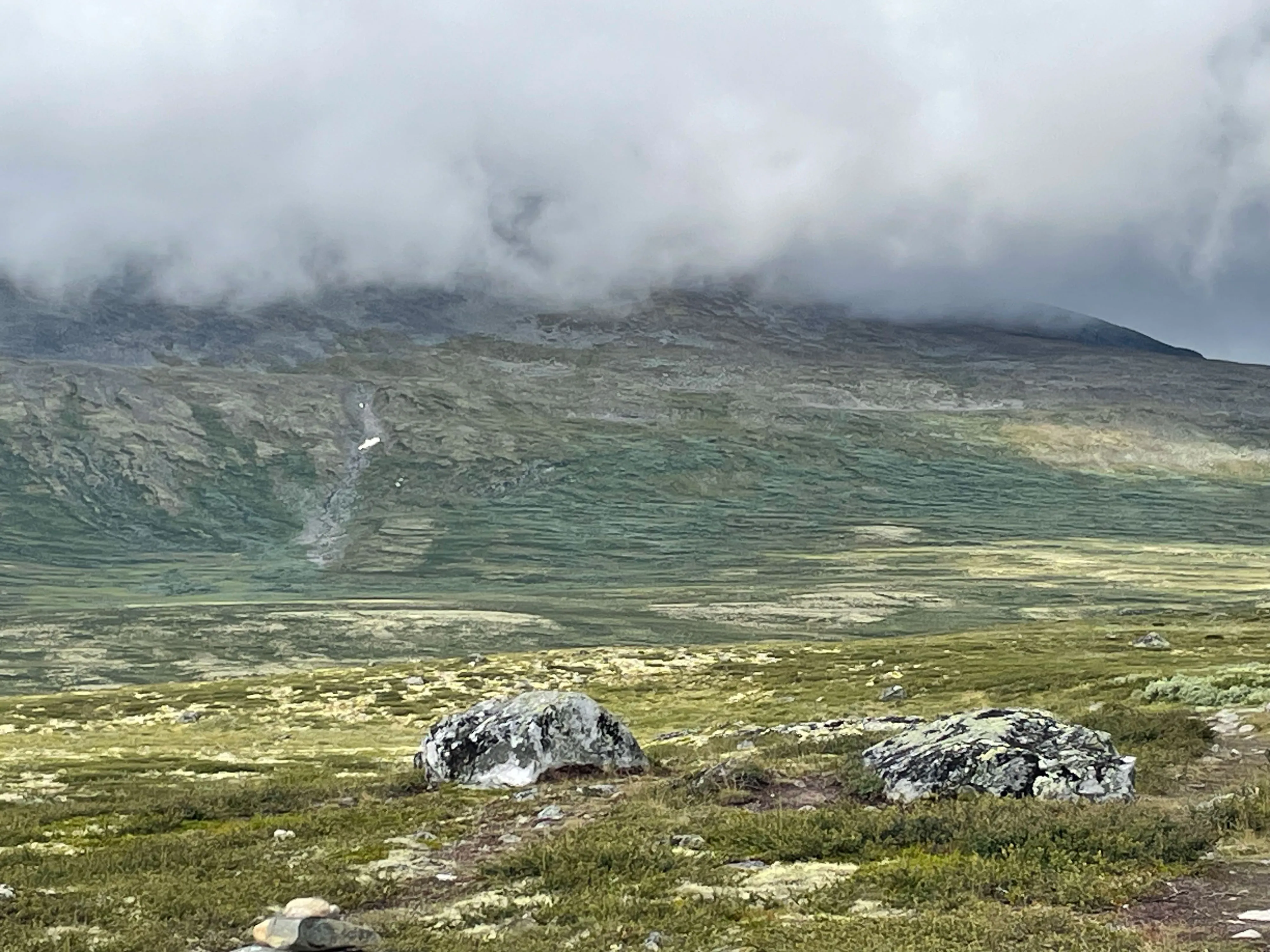 Grasland mit Felsen und bewölktem Berg im Hintergrund