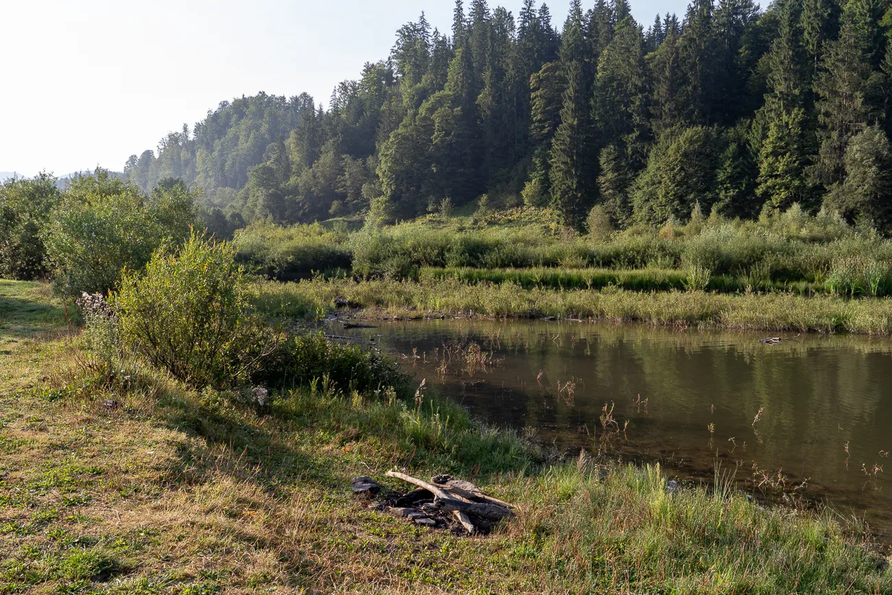 ruhiger fluss mit grasufer und bewaldeter hintergrund