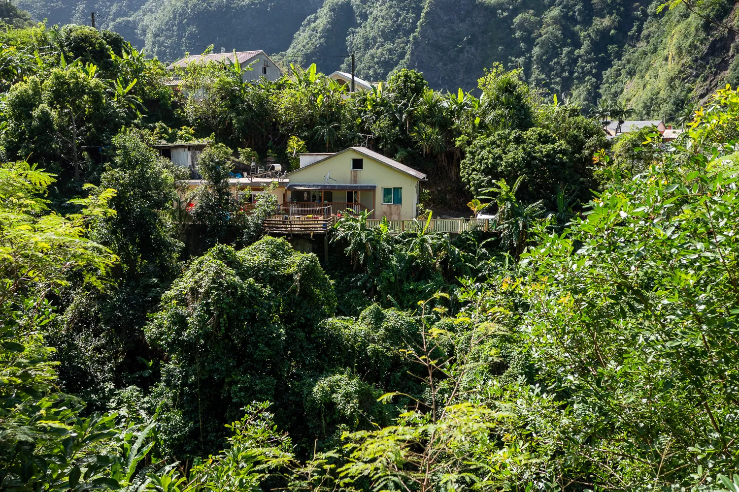 Haus in dichtem grünem Wald, Berghang im Hintergrund