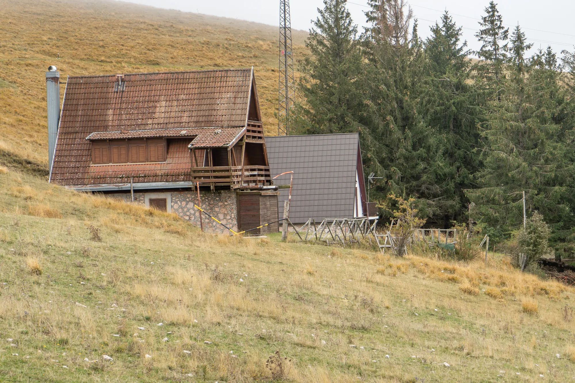 Haus auf grasigem Hang neben Nadelbäumen