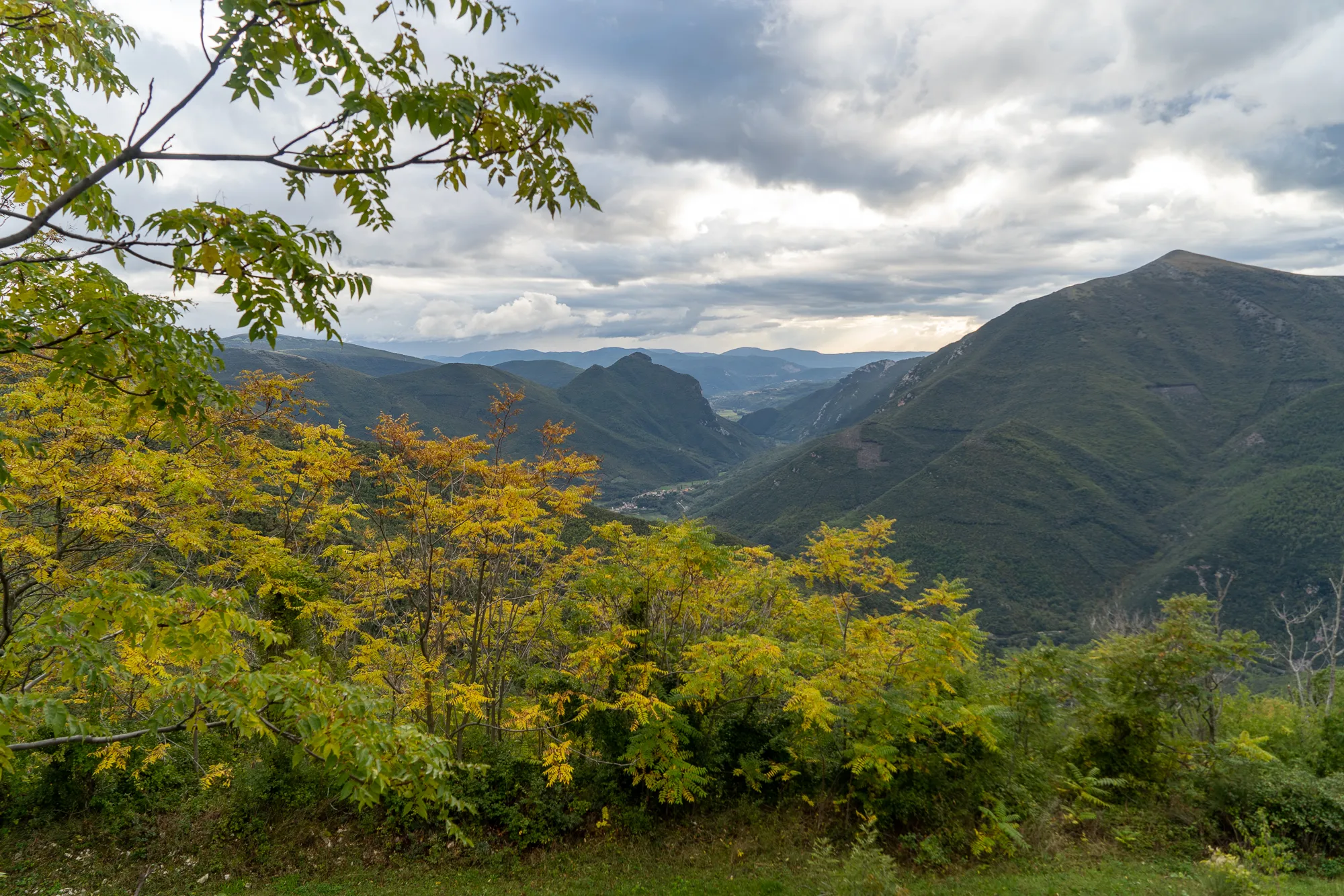 herbstlaub im vordergrund, berglandschaft mit bewölktem himmel