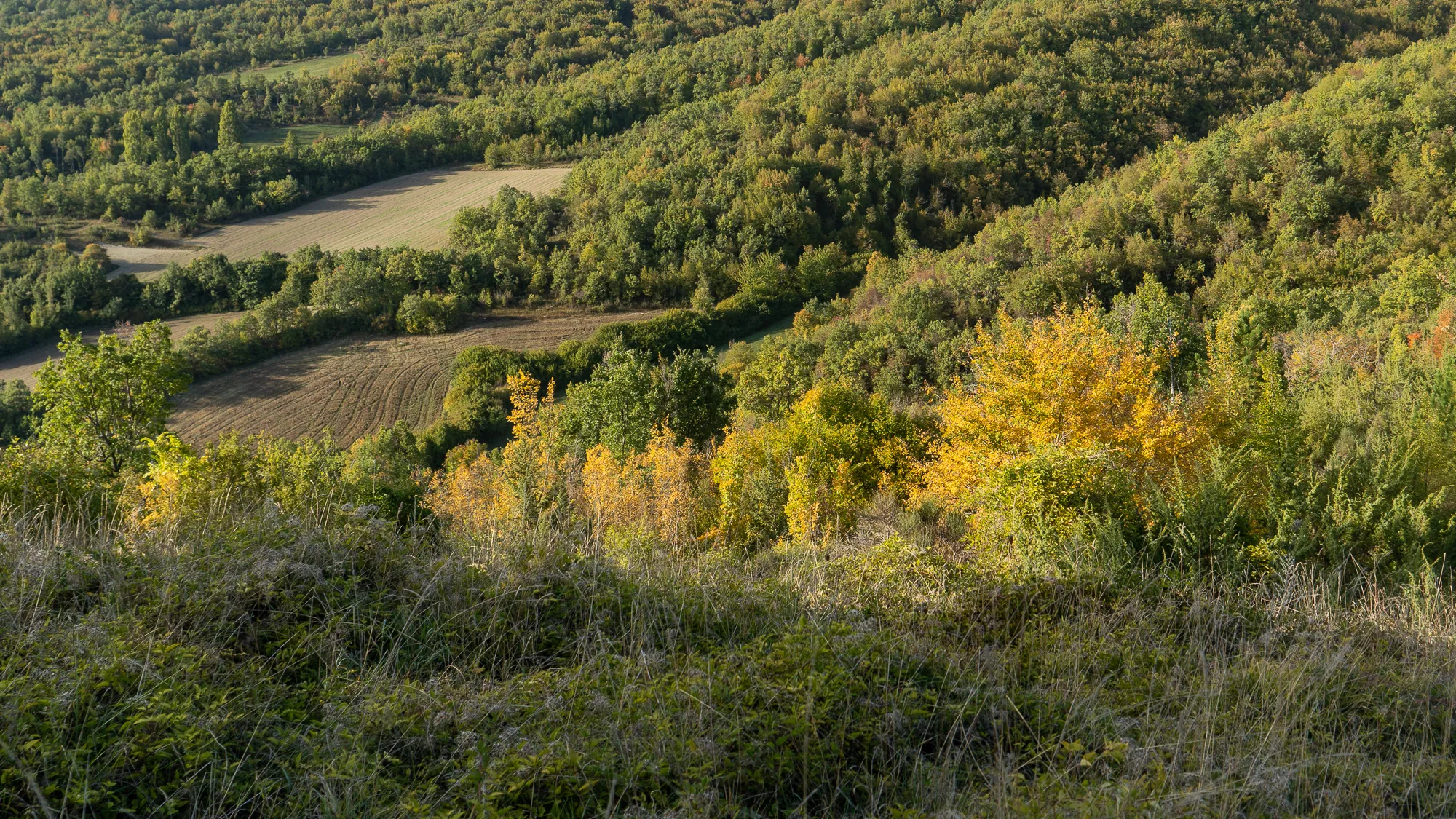 Herbstliche Hügellandschaft mit Wäldern und Feldern in Umbrien