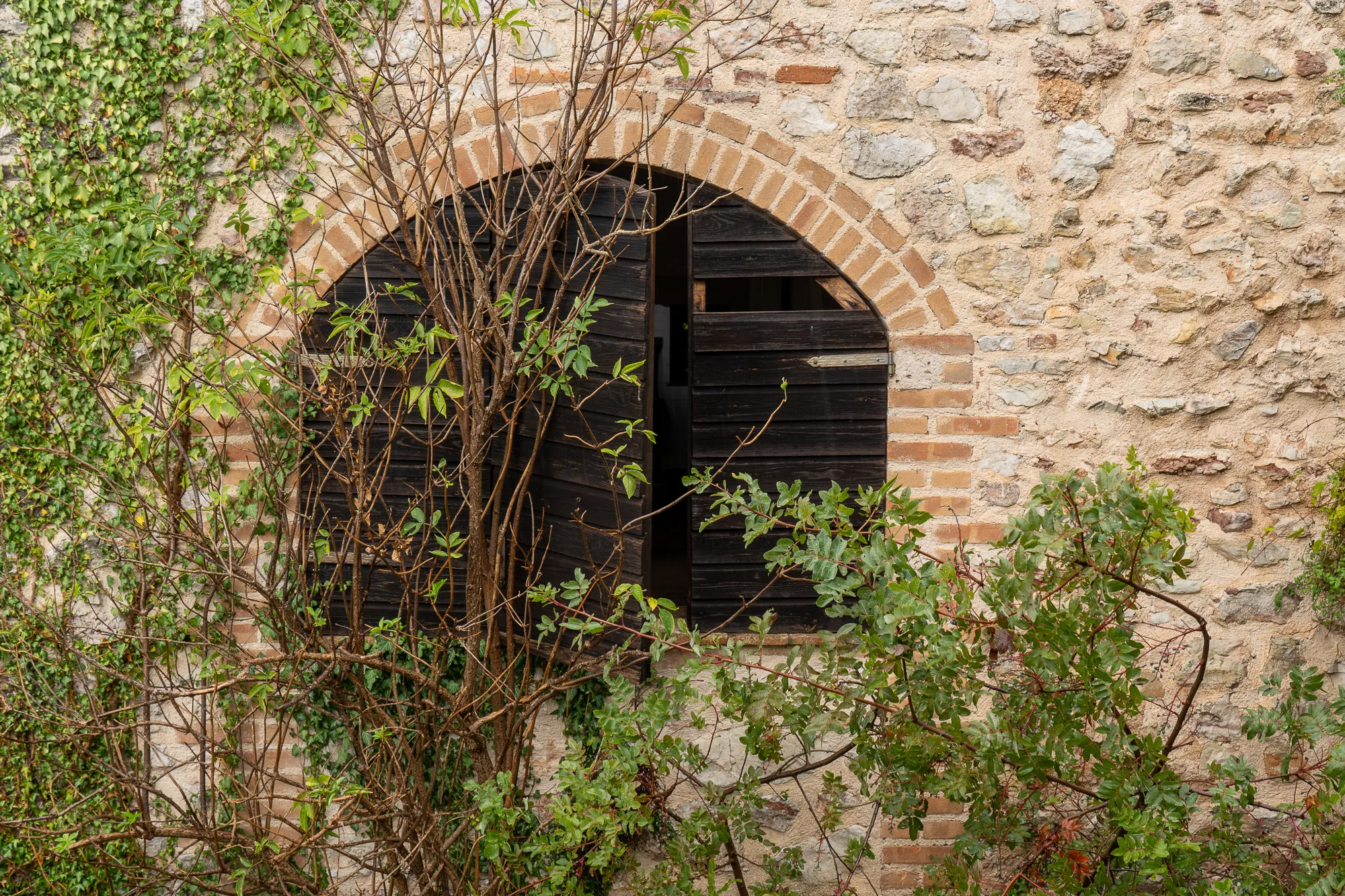schwarzes holzfenster in steinmauer mit kletterpflanzen und roten ziegeln