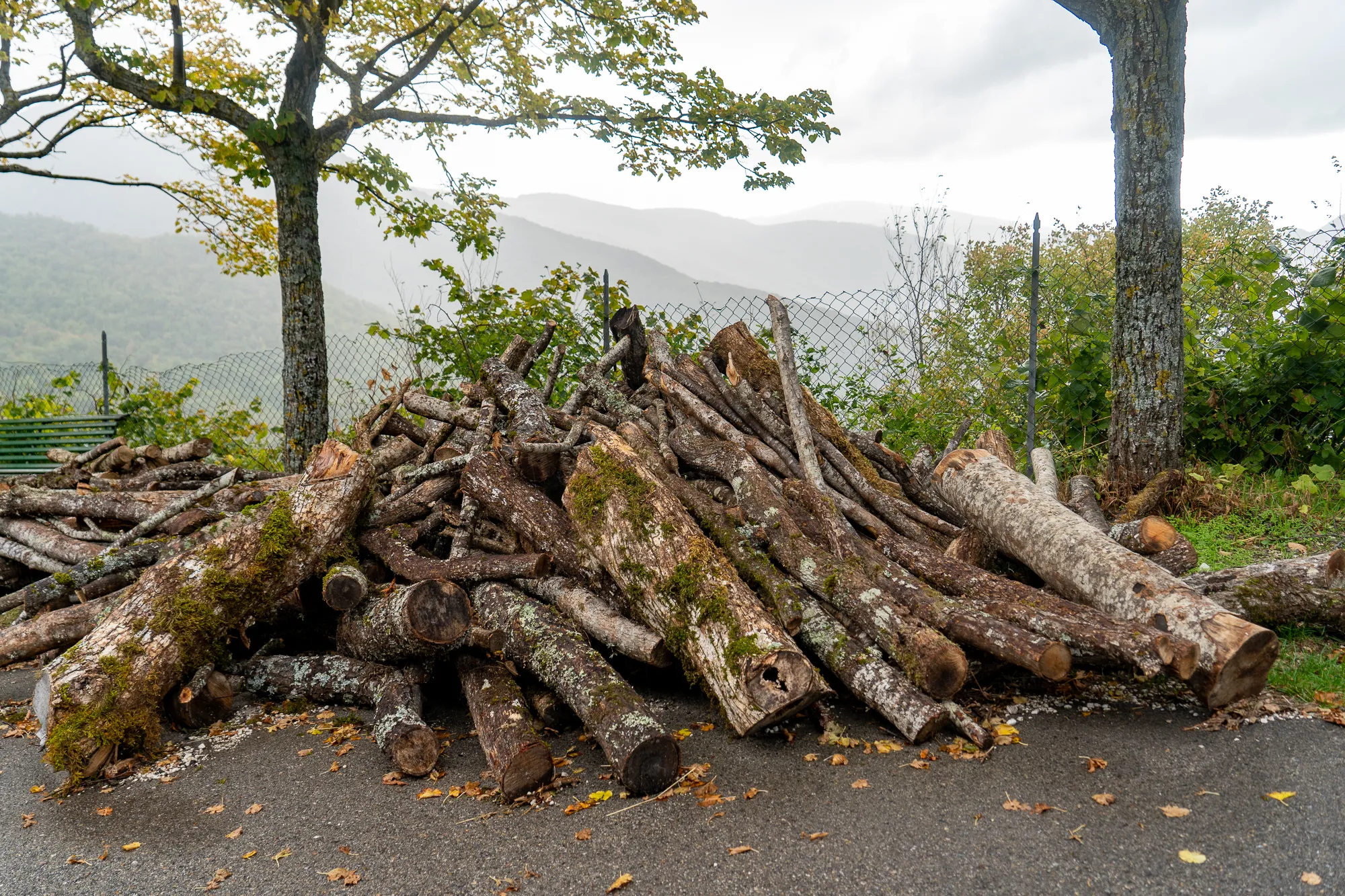 großer holzhaufen mit moos bedeckt, hintergrund berglandschaft