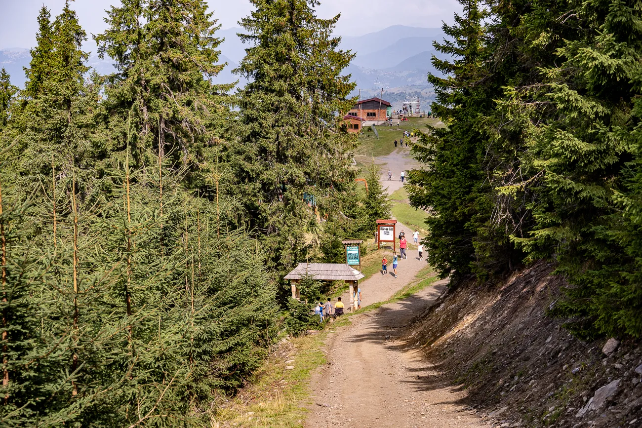 Waldweg mit Besuchern und Holzhaus im Hintergrund
