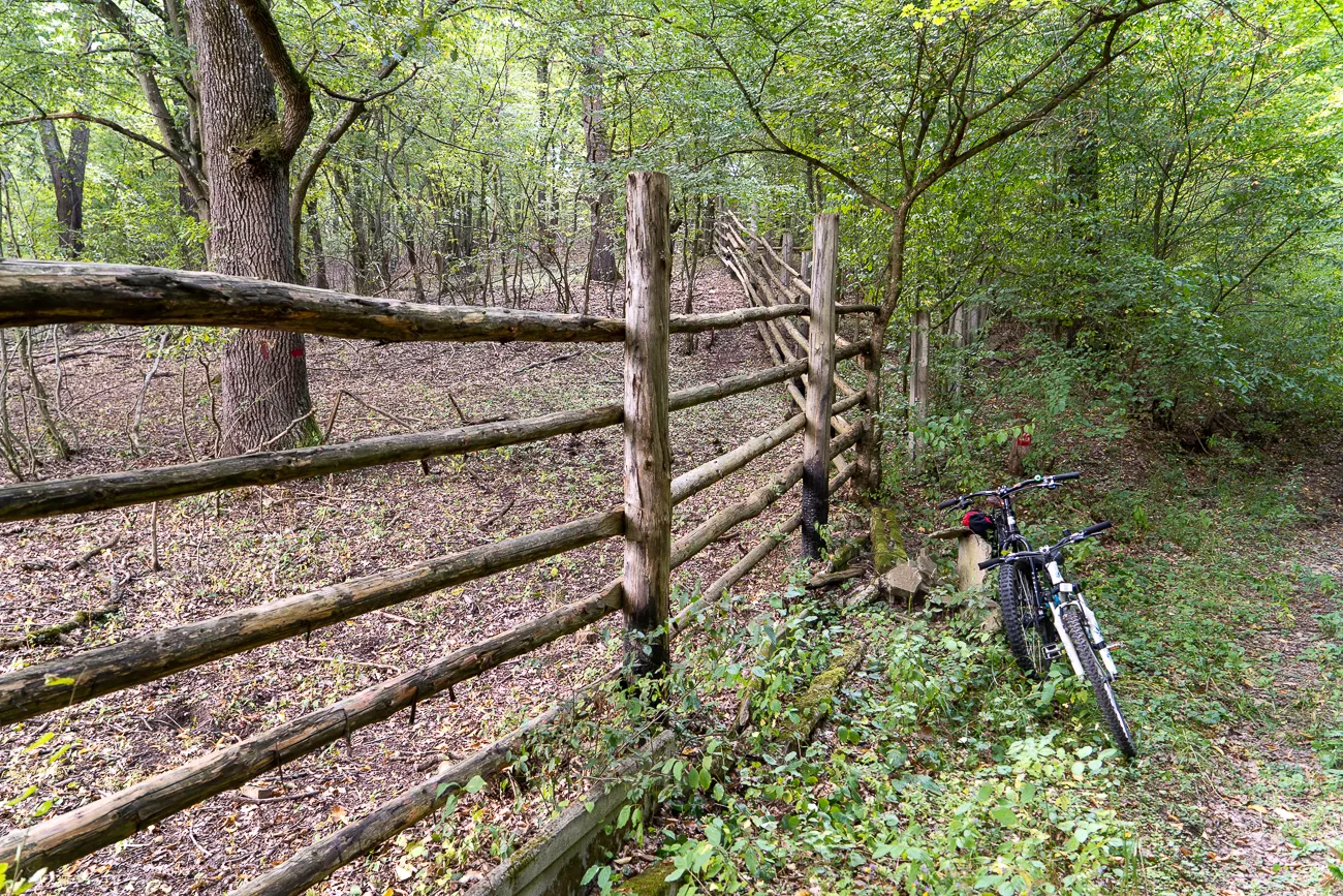 Holzzaun im Wald mit Mountainbike