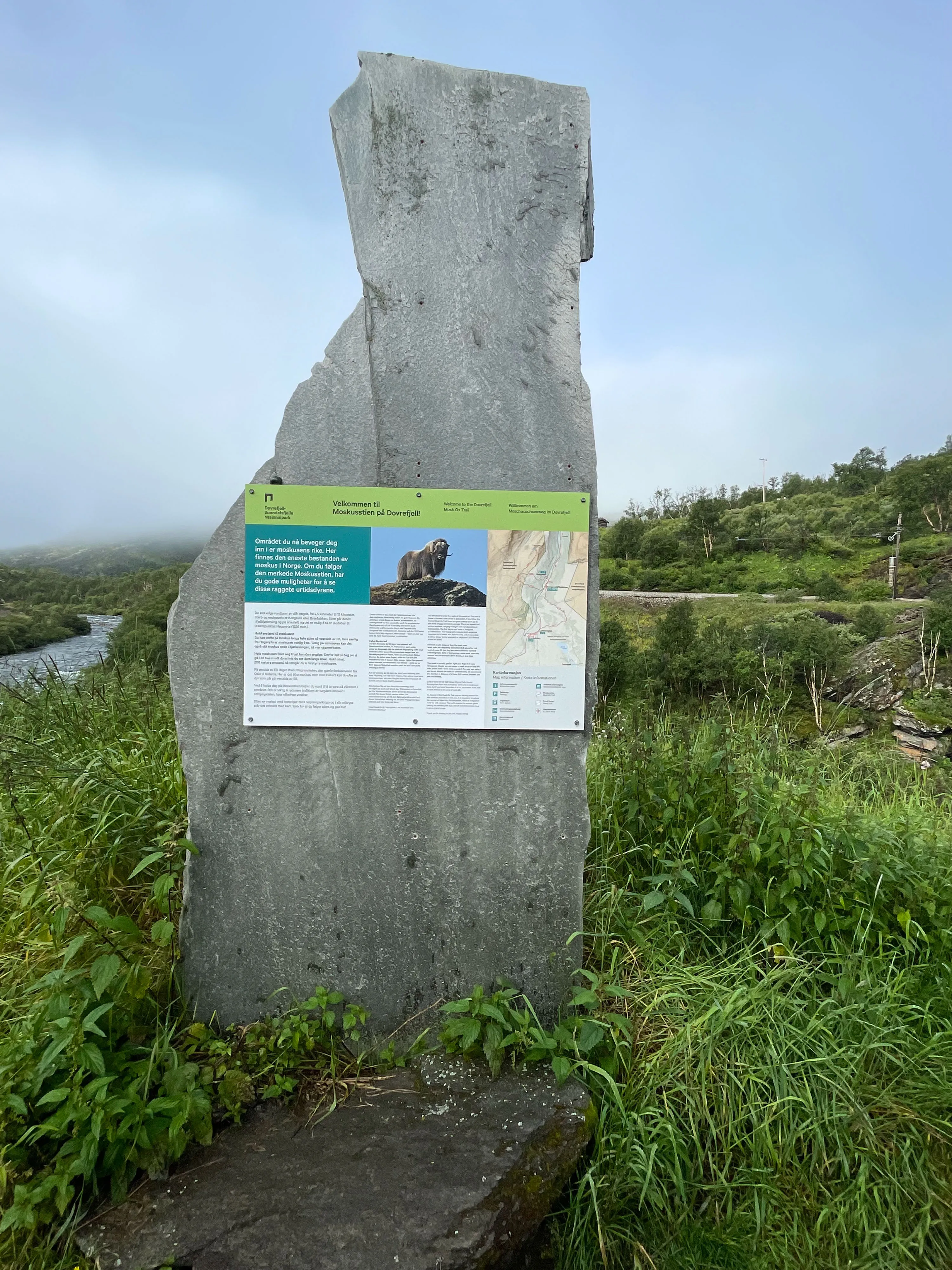 Informationstafel am Wanderweg mit Karte und Bild des Moschusochsen
