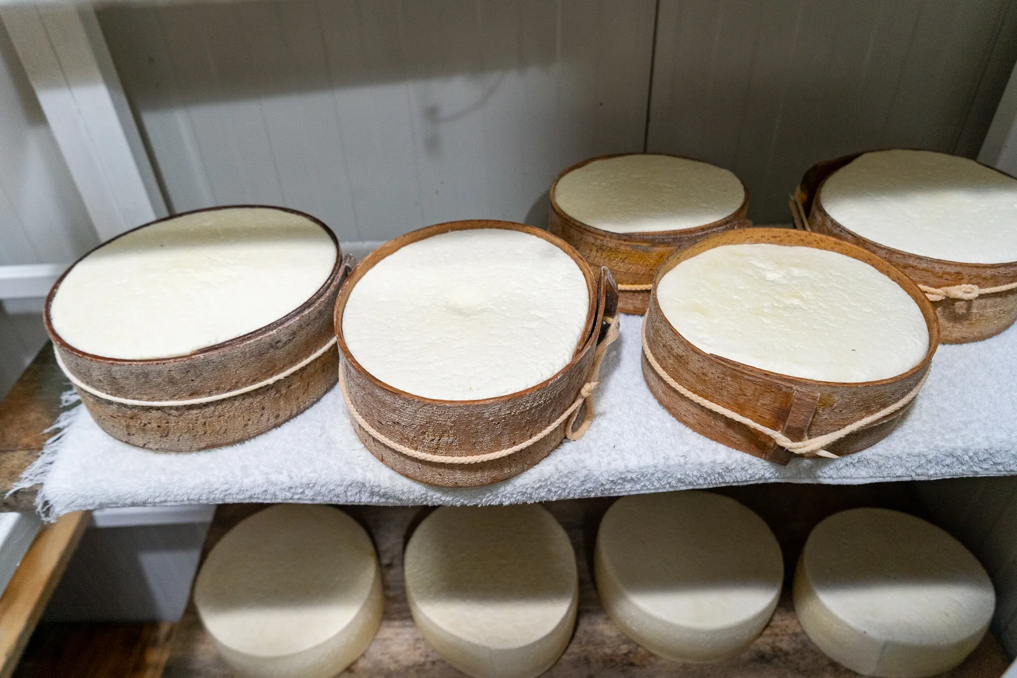 Runde Käse in Holzkörben auf Regal, weißer Tuchunterlage