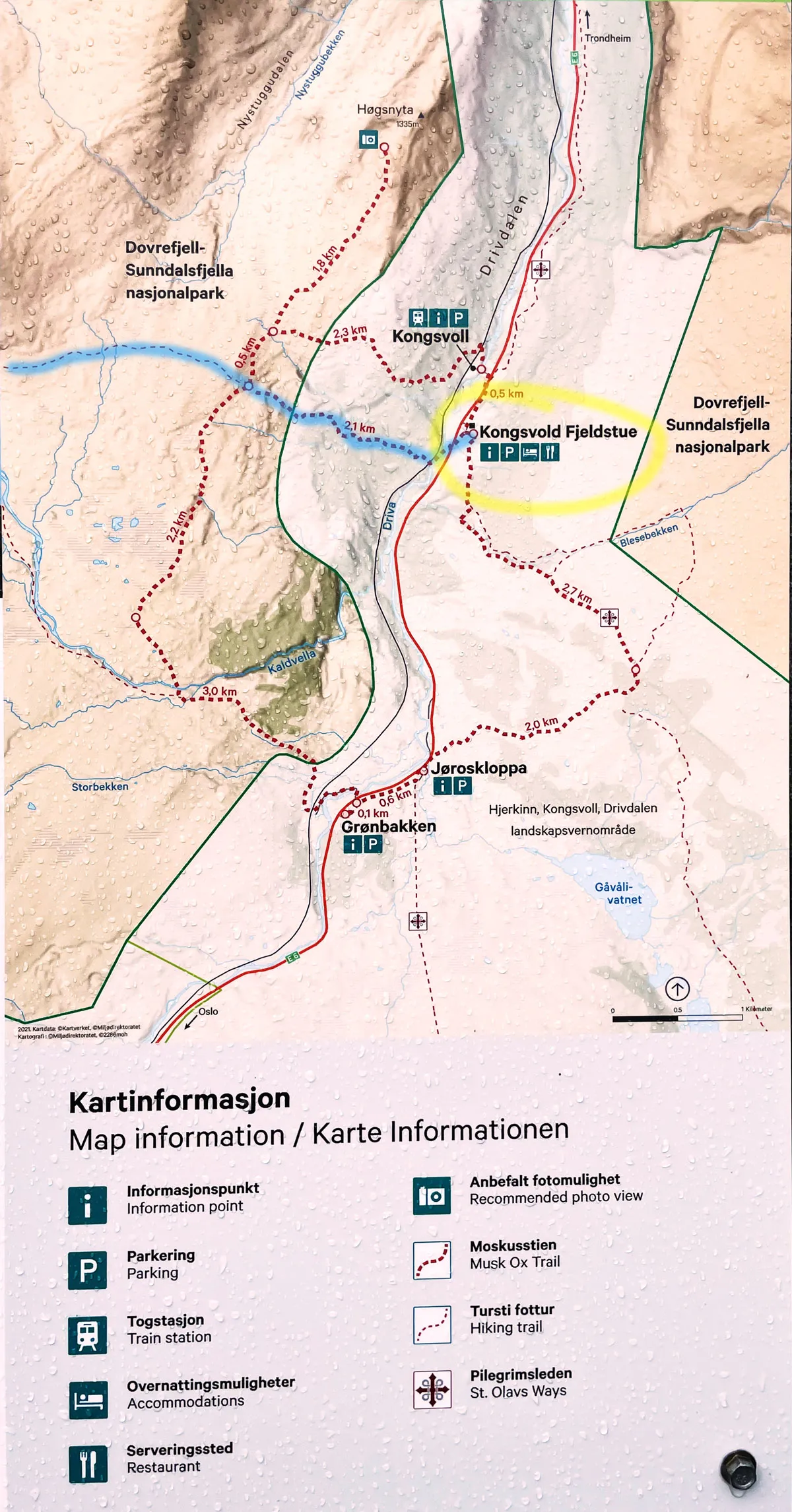 Wanderwegkarte mit Parkplatz, Trail und Moschusochsenherde in Norwegen