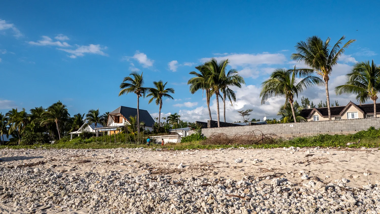Strand mit Kies, Palmen und Häusern unter blauem Himmel