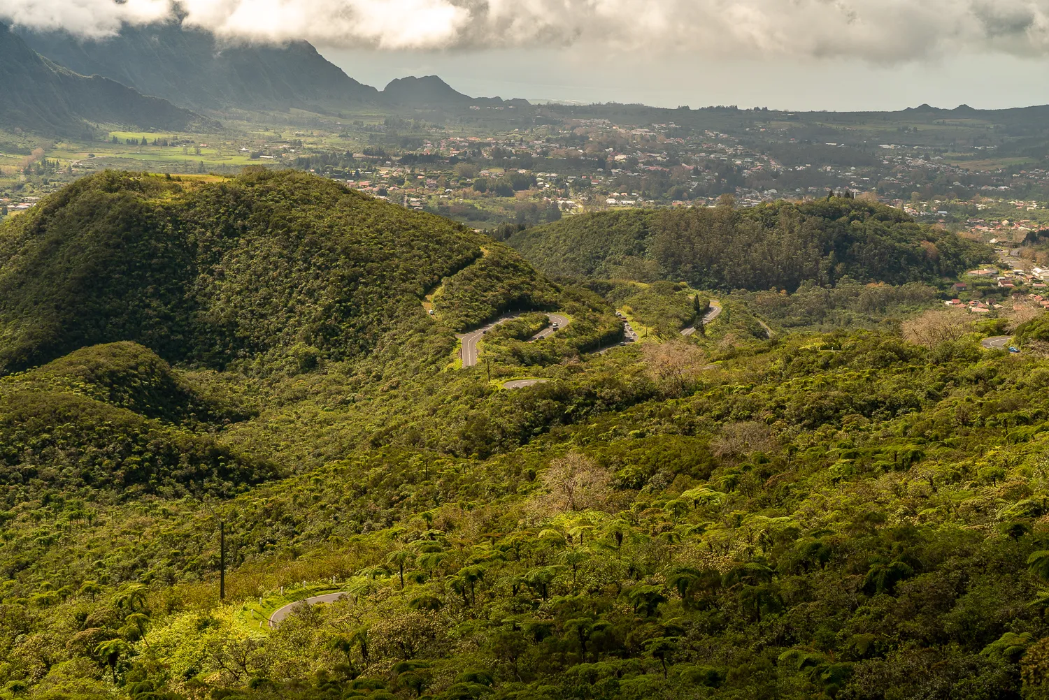 Waldlandschaft mit gewundenem Straßenverlauf und Siedlung im Tal