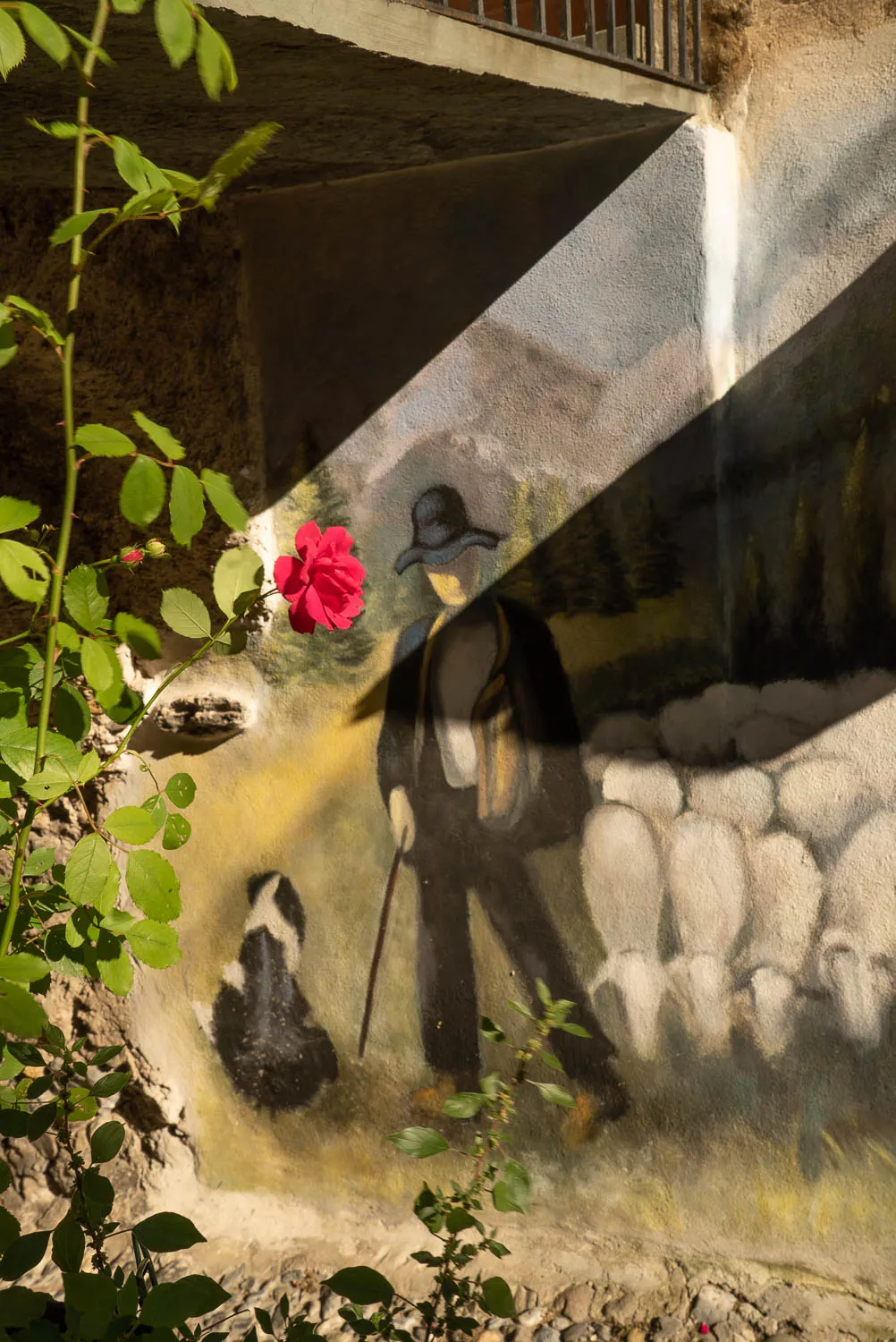 Mural mit Schäfer und Schafen, rote Rose im Vordergrund
