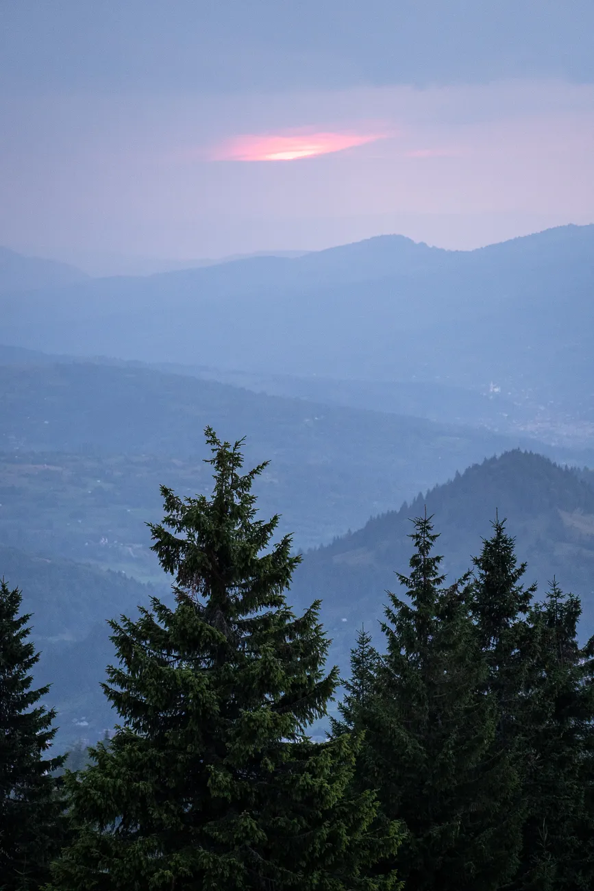 Berge im Dämmerlicht mit Nadelbäumen im Vordergrund