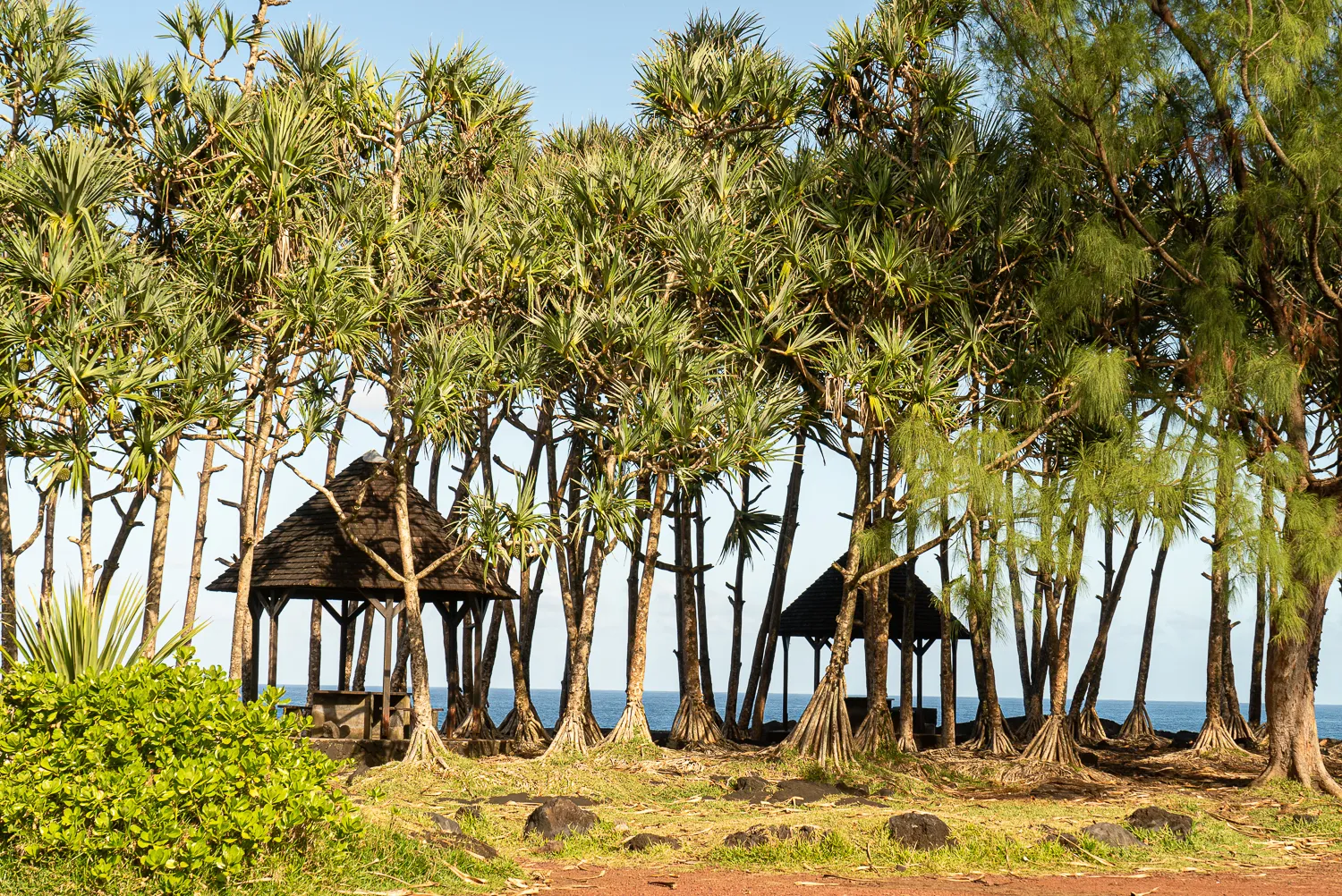 Zwei Pavillons unter Palmen am Strand mit Blick auf das Meer