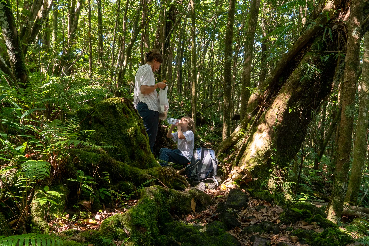Zwei Personen ruhen in dichtem Wald mit moosbedeckten Bäumen und Farnen.