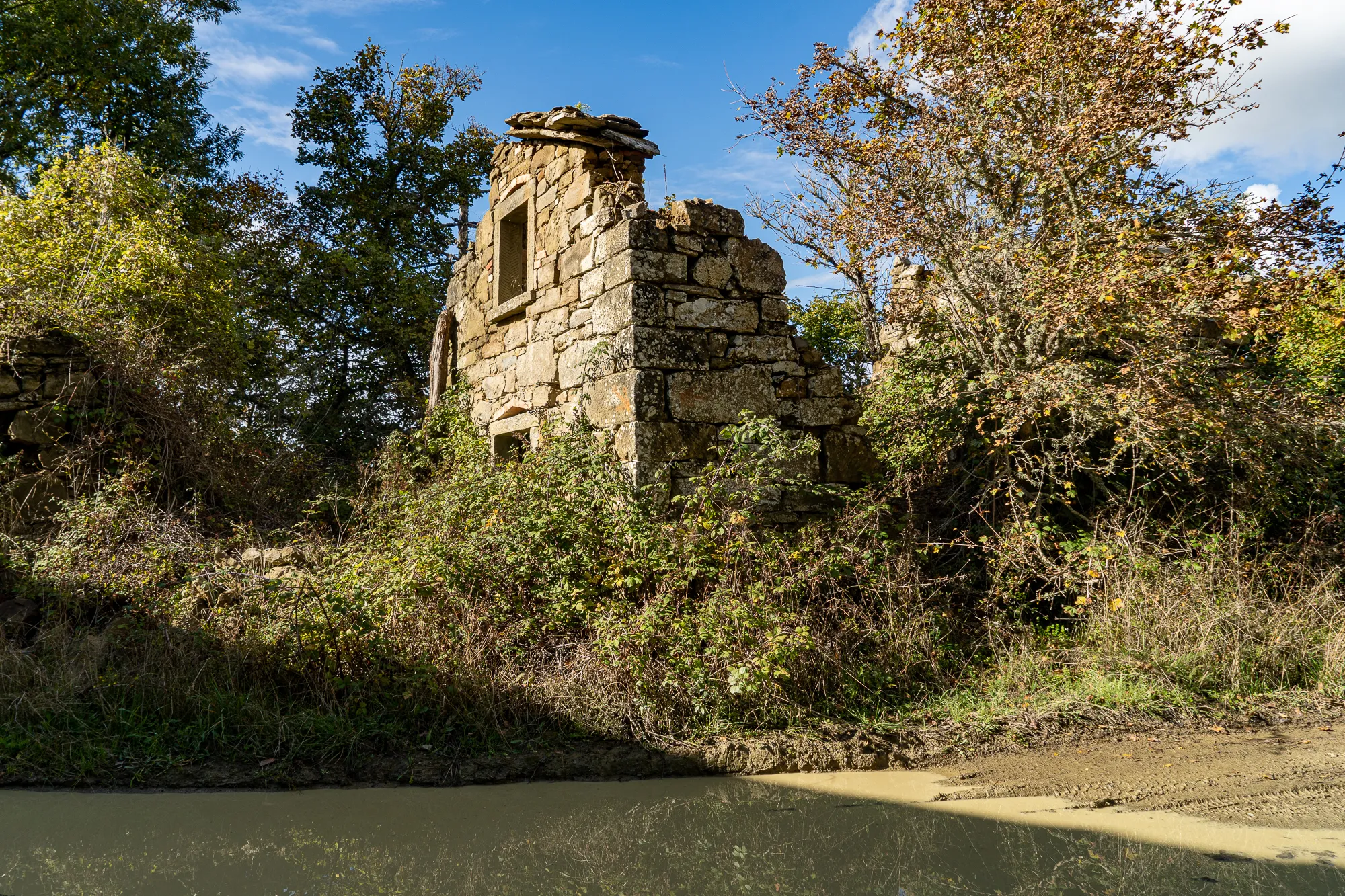 Steinerne Ruine am Ufer eines Flusses, umwachsen von Bäumen und Sträuchern.