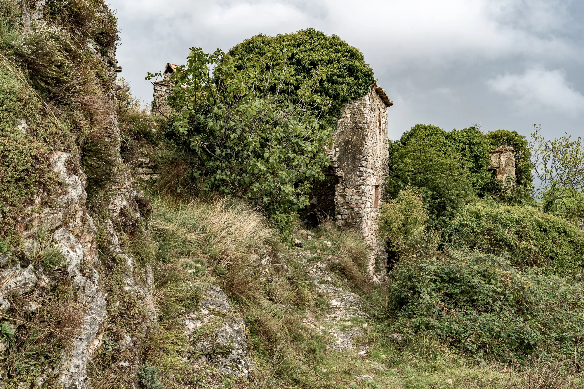 Verfallene Steinruine überwuchert von Bäumen und Gras auf einem Hang