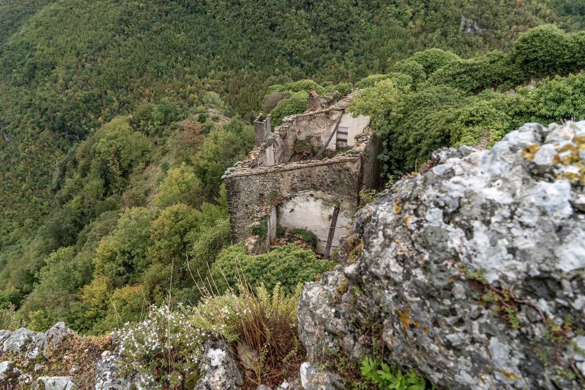 Verfallene Steinruine in dichtem grünen Wald, Blick von Felsen aus